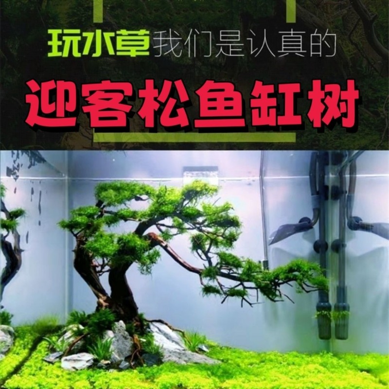 Professional Eco-Friendly Wood - Resin Art With Wood recension och pris
