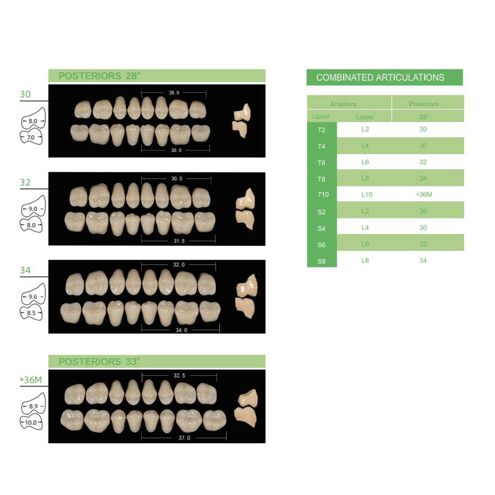 4/12/16sets /box Dental Resin  - Resin Art Case recension och pris