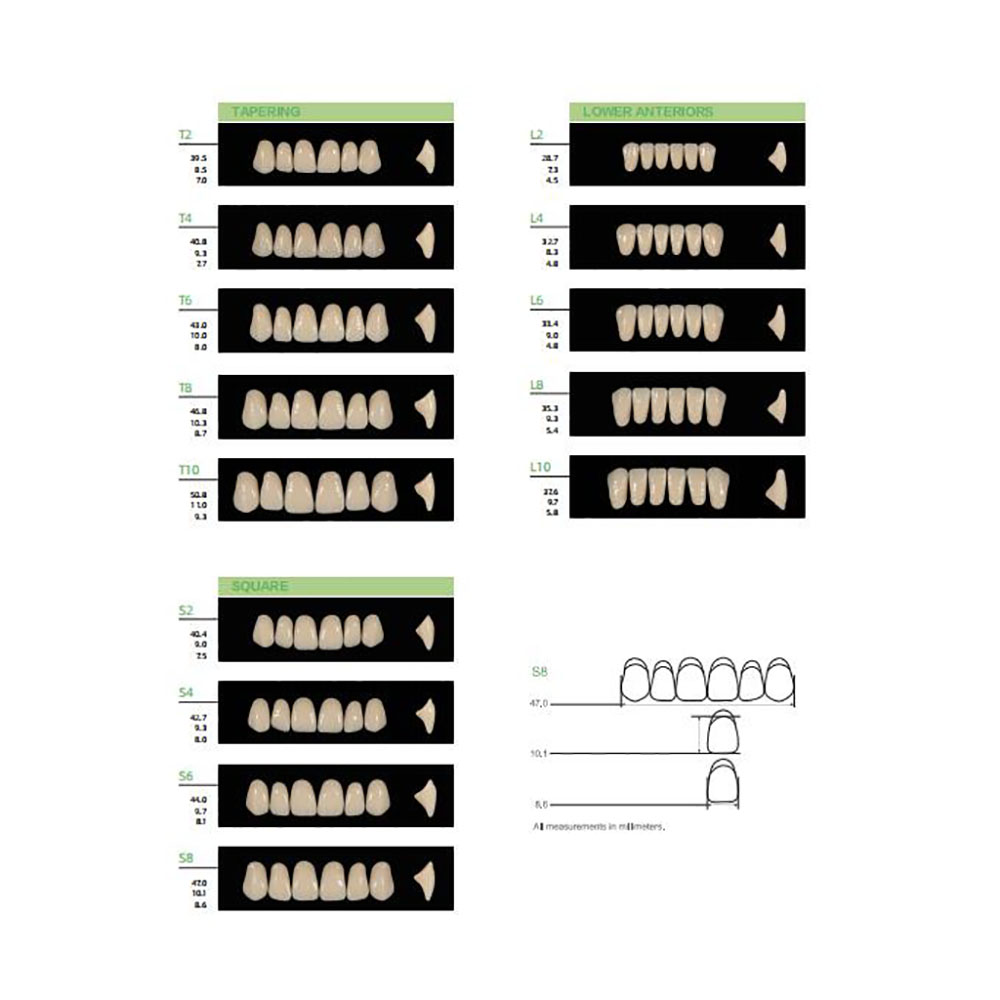 4/12/16sets /box Dental Resin  - Resin Art Case recension och pris