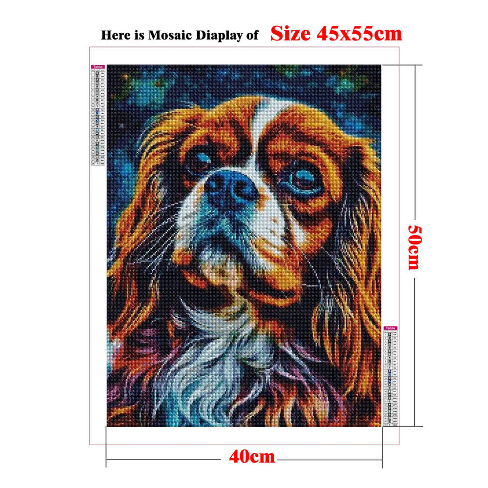 Sz26The Studded Cavalier King  - Resin Art Pouring recension och pris