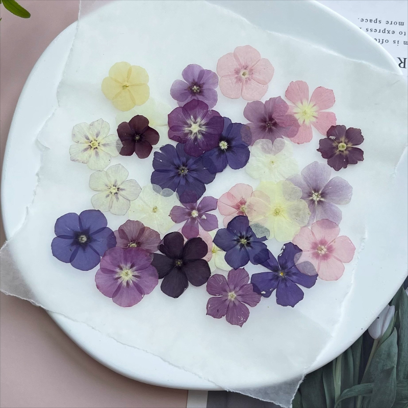 12pcs,Semi-Transparent Niche P - Resin Art Case recension och pris