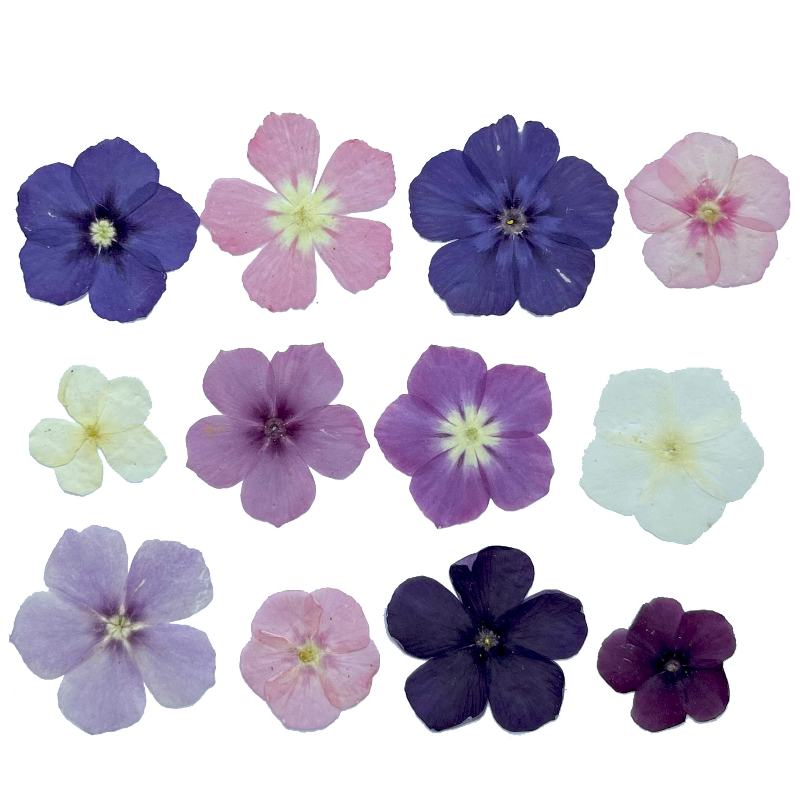 12pcs,Semi-Transparent Niche P - Resin Art Case recension och pris